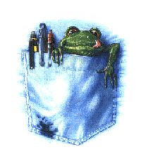 pocket frog